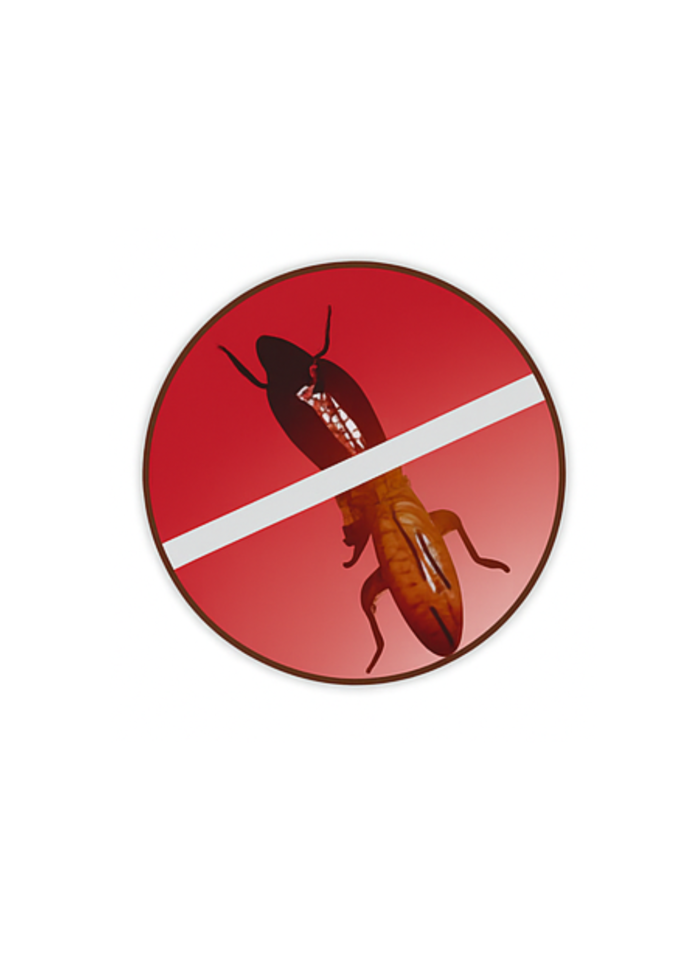 Anti-Termite Treatment (Pre-Construction)