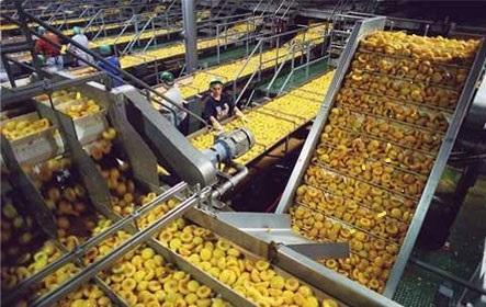 Food Processing Units