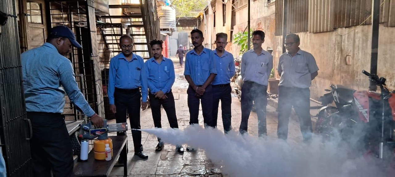 Expert Team