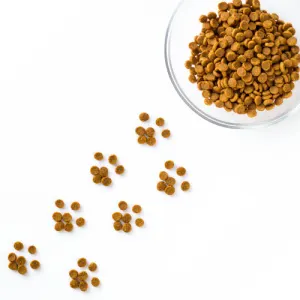 Cat Dry Food