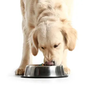 Dog Dry Food