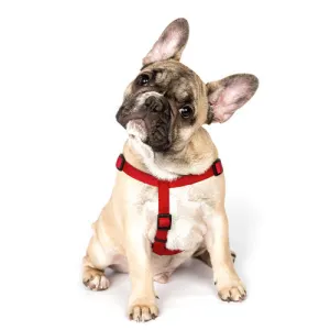 Shop Dog Collars Harnesses Leads Online ePETstore