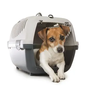 Dog Carriers