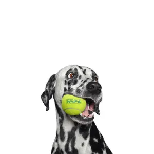 A Variety Of Dog Toys Online