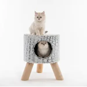 Buy cat supplies online clearance