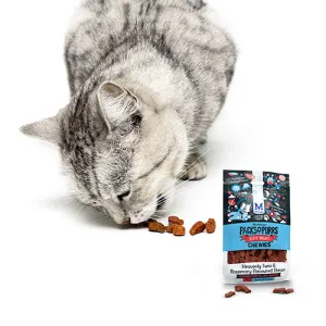 Cat Treats