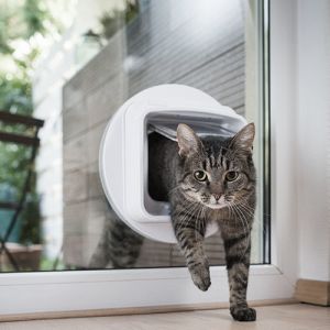 Cat Flaps