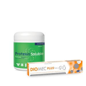 Cat Digestive Health