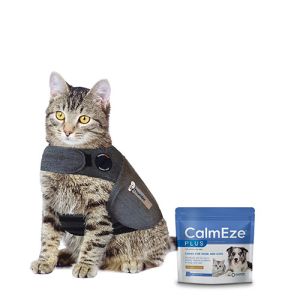 Cat Stress & Anxiety