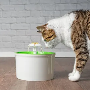 Best cat bowls 2018 shop