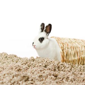Small Pet Bedding & Litter