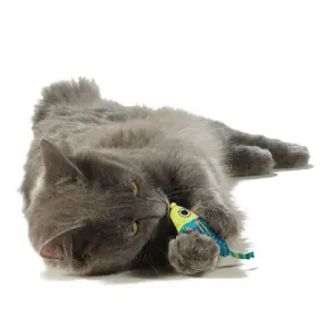 Catnip Toys