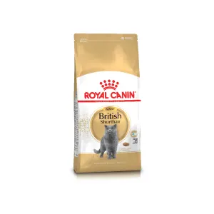 Royal canin british deals shorthair kitten food