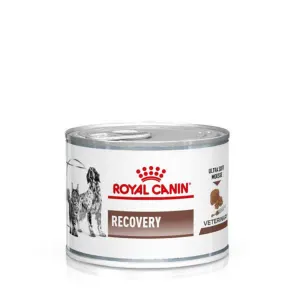 Buy Royal Canin Recovery Wet Dog Cat Food Online ePETstore