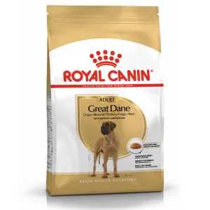 How to feed a great dane online