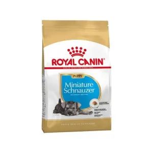 Best puppy food for schnauzers top