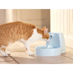 Outdoor new arrivals cat fountain