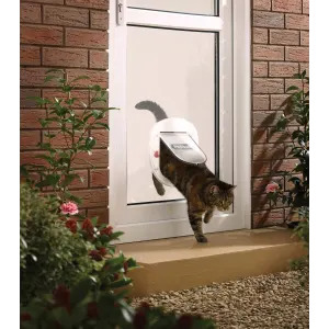 Staywell Big Cat or Small Dog Pet Door