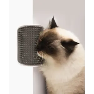 Buy Self Groomer for Cats Online ePETstore