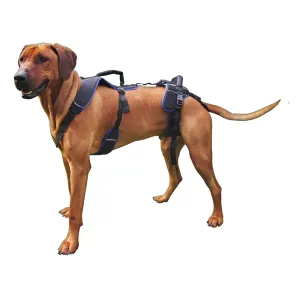 Chest harness deals for dog