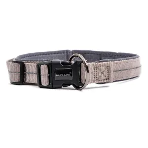 Webbing & Neoprene Dog Collar
