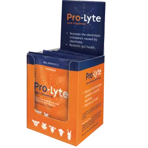 Orange single 20g Pro-Lyte sachet for dogs &amp; cats