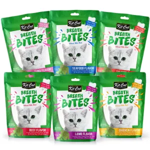 Kit kat cat treats discount