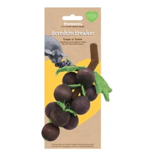 Grape ‘n Gnaw Toy for Small Pets & Birds