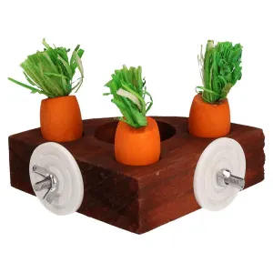 Carrot Toy 'n Treat Holder for Small Pets