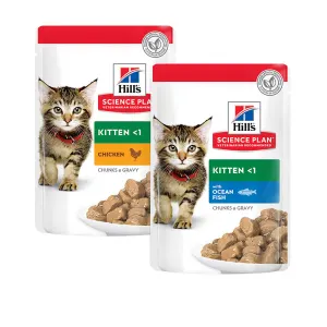 Hills wet kitten food discount