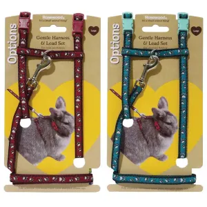 Pet rabbit supplies cheap