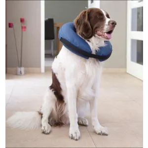 21st century inflatable protective pet collar online
