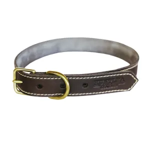 Huntlea Lion Leather Collar for Dogs