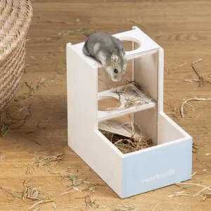 Hamster playing on rodent house