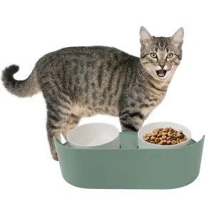 A cat enjoying food out of its double raised pet bowl by M-Pets.