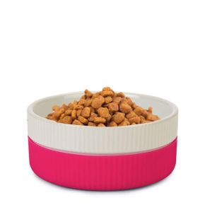 Cat Bowls