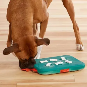 dog playing with dog casino puzzle toy