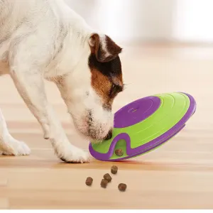 Jack Russell playing with dog treat maze puzzle toy