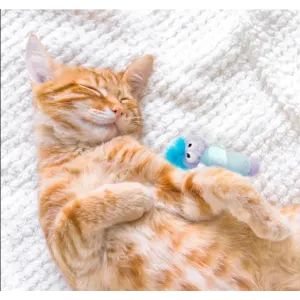 Swat ‘N Treat Fairy Kicker Cat Toy lifestyle image with cat