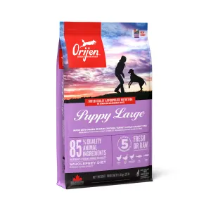 Orijen Large Breed Puppy Food