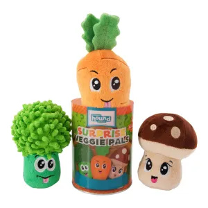 Surprise Veggie Pal Plush Dog Toy different designs with can