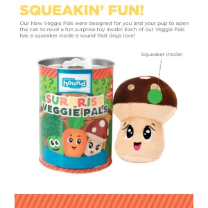 Surprise Veggie Pal Plush Dog Toy squeaking fun