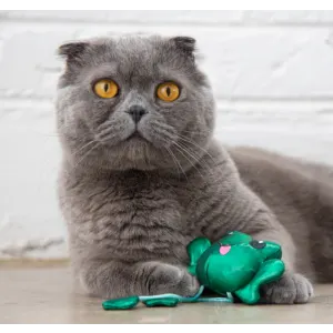Toss 'N Dangle Frog Cat Toy Fun and Engaging Cat Toy Touch Activated Ribbet green frog toy lifestyle image