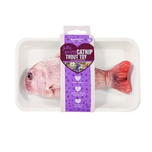 Catnip Fish Cat Toy
