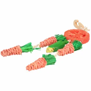 Carrot Dreamcatcher Small Pet Toy
