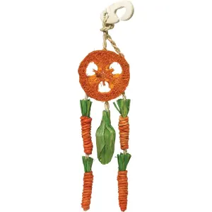 Carrot Dreamcatcher Small Pet Toy front view, orange green and wood