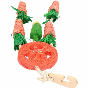 Carrot Dreamcatcher Small Pet Toy top view orange, green in color with wood