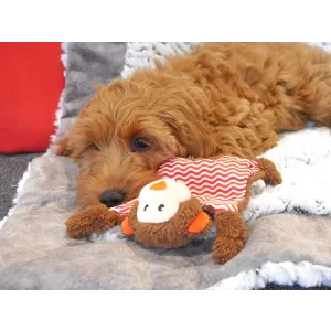 Little Nippers Cheeky Chimp Dog Toy lifestyle with cocker puppy