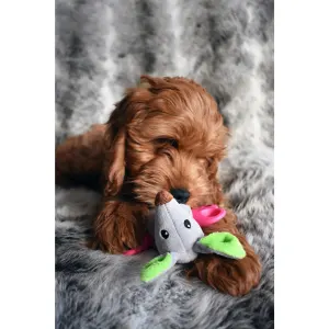 lifestyle image of cocker puppy with rascal roo