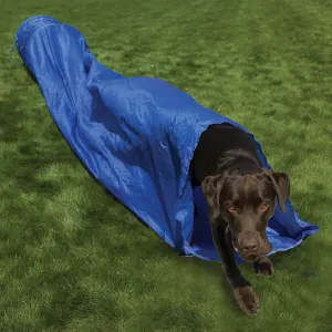 black dog running through blue agility tunnel